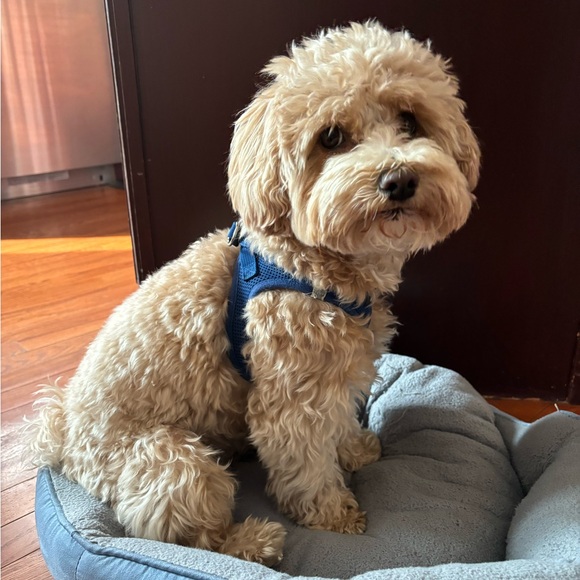 Welcome! - Picture 6 of 16